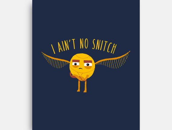 I Ain't No
