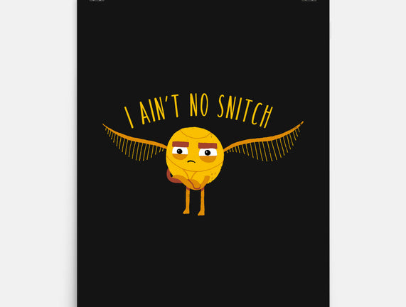 I Ain't No