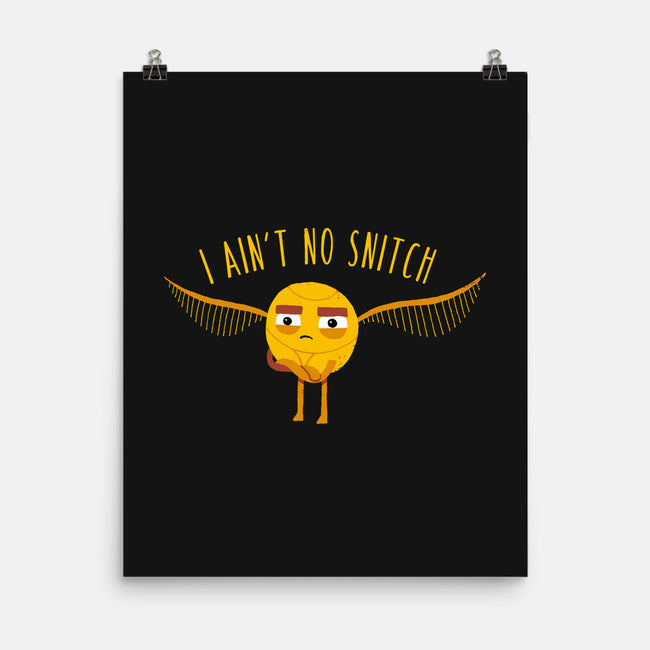 I Ain't No-none matte poster-DinoMike