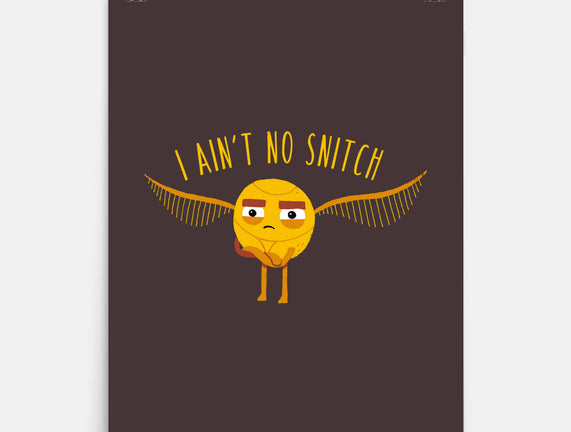 I Ain't No