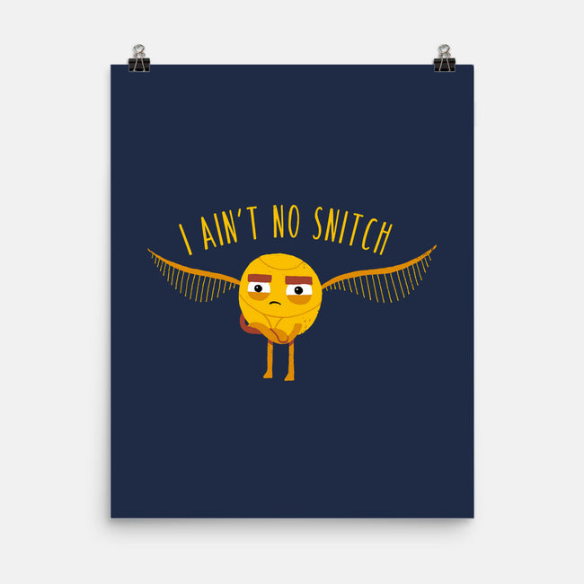 I Ain't No-none matte poster-DinoMike