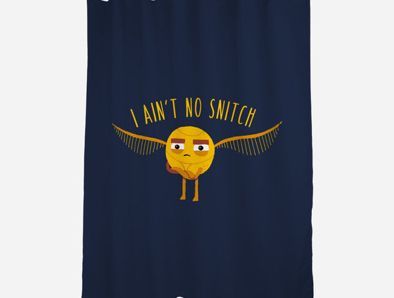 I Ain't No