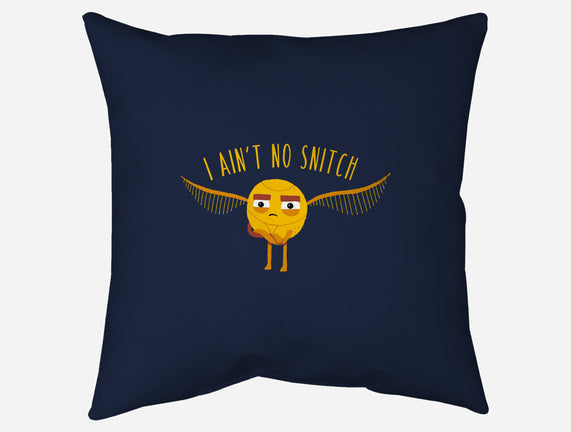 I Ain't No