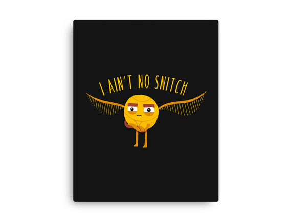 I Ain't No