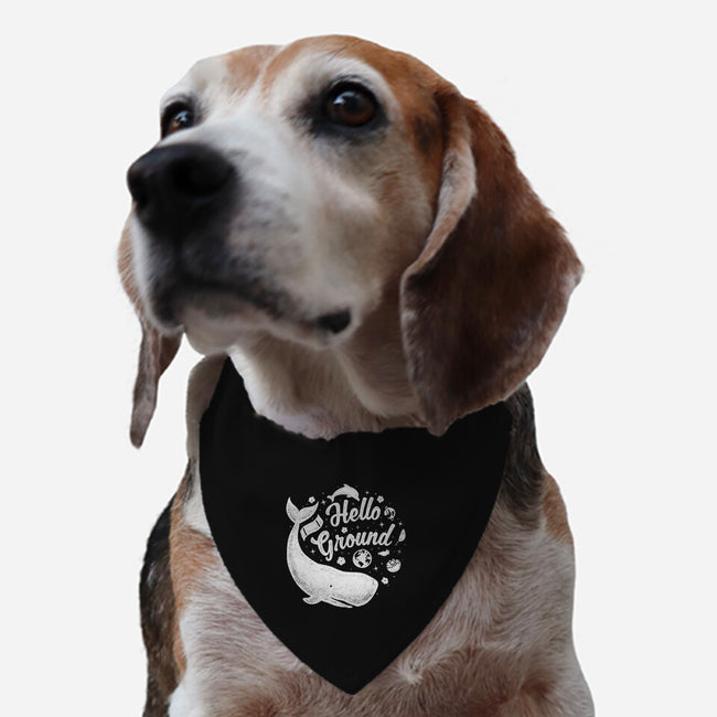 Hello Ground-dog adjustable pet collar-LiRoVi