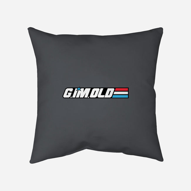 G. I'm. Old-none removable cover throw pillow-moysche
