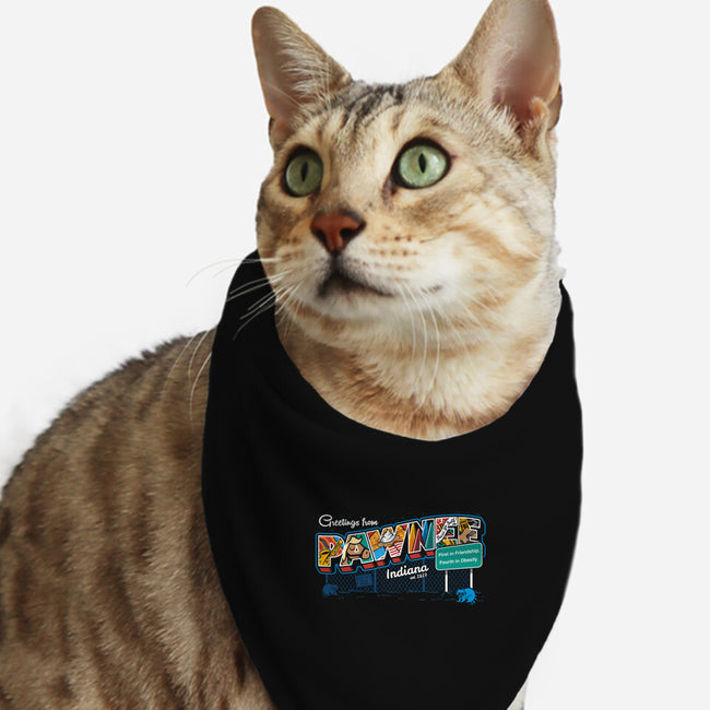 Greetings From Pawnee-cat bandana pet collar-Bamboota