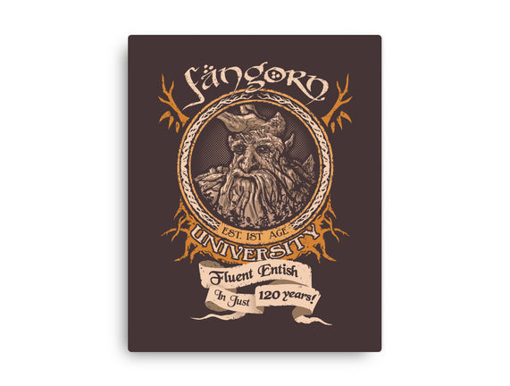 Fangorn University