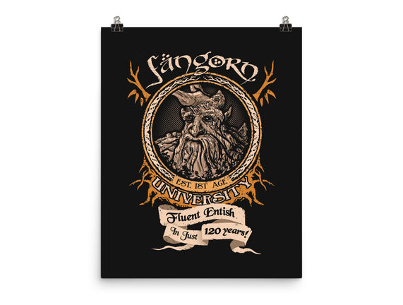 Fangorn University