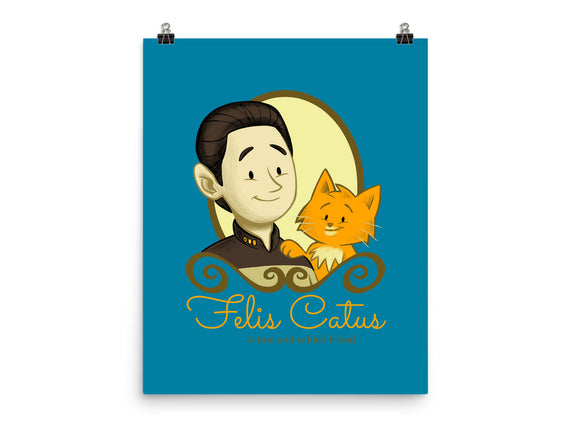 Felis Catus
