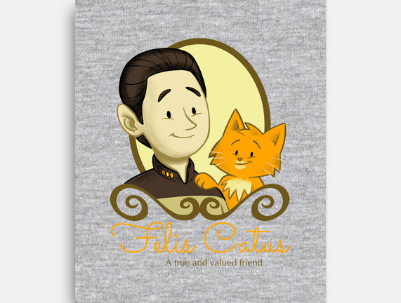 Felis Catus
