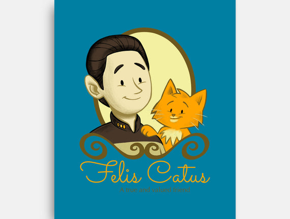 Felis Catus