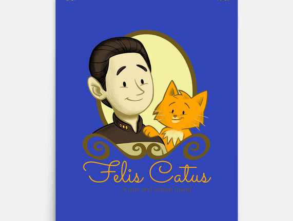 Felis Catus