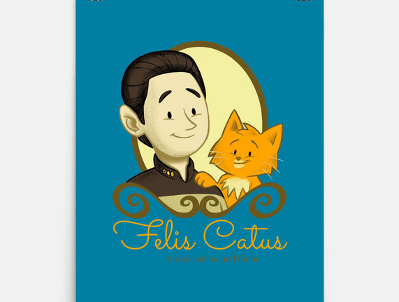 Felis Catus