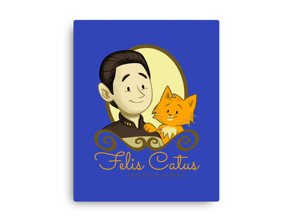 Felis Catus