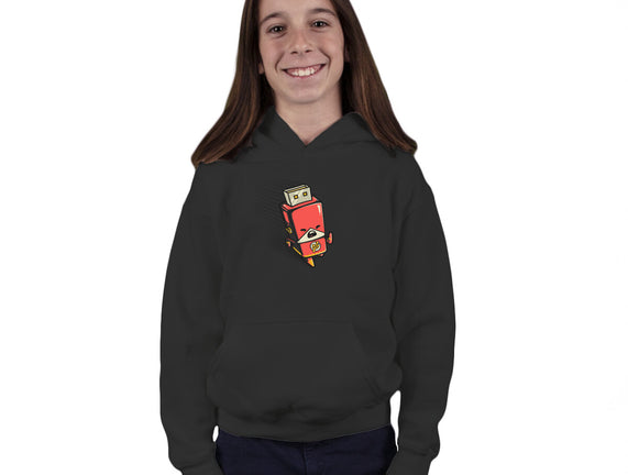 Flash Drive