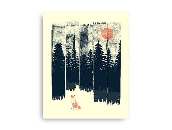 Fox In the Wild