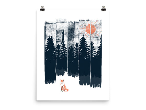 Fox In the Wild