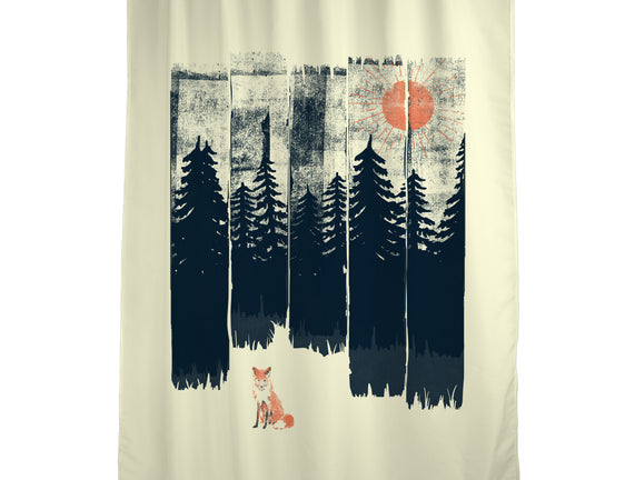 Fox In the Wild