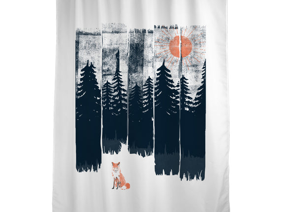 Fox In the Wild