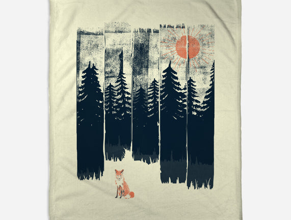 Fox In the Wild