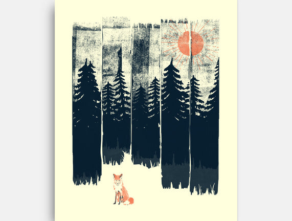 Fox In the Wild
