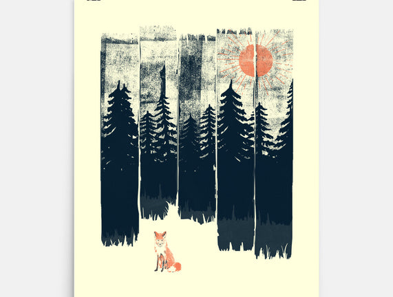 Fox In the Wild