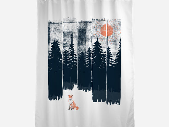 Fox In the Wild