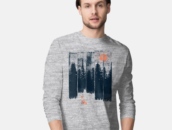 Fox In the Wild