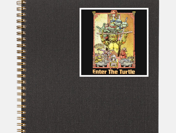 Enter the Turtle