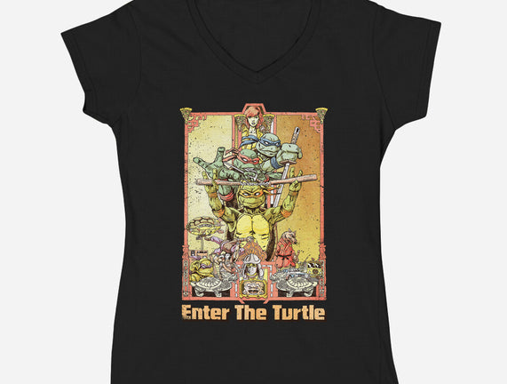 Enter the Turtle