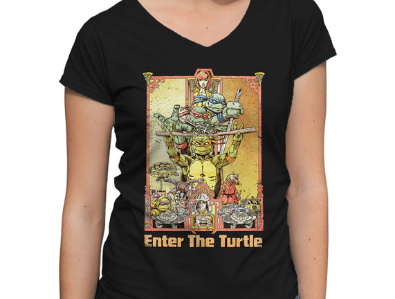 Enter the Turtle