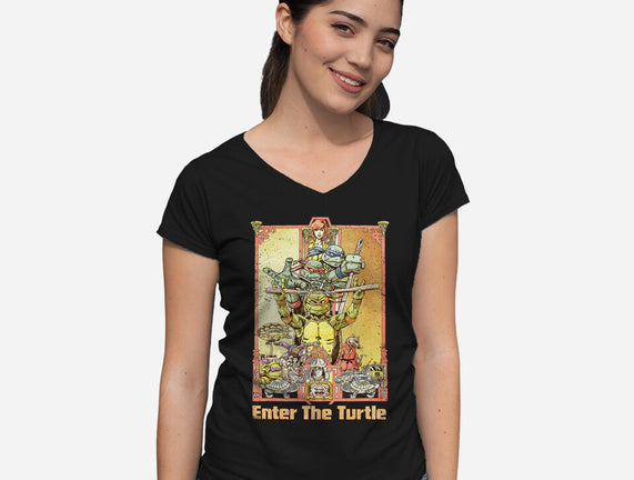 Enter the Turtle