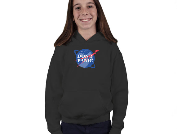 Don't Panic