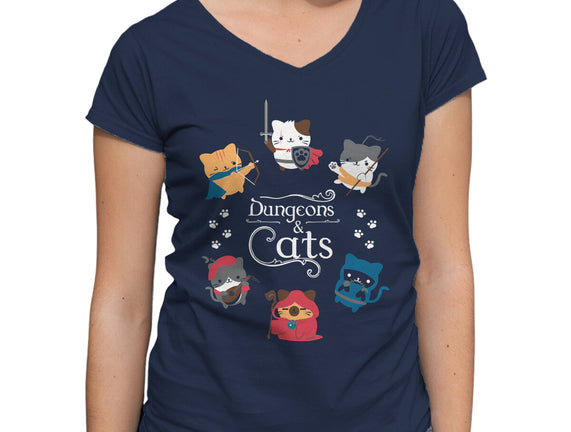 Dungeons & Cats