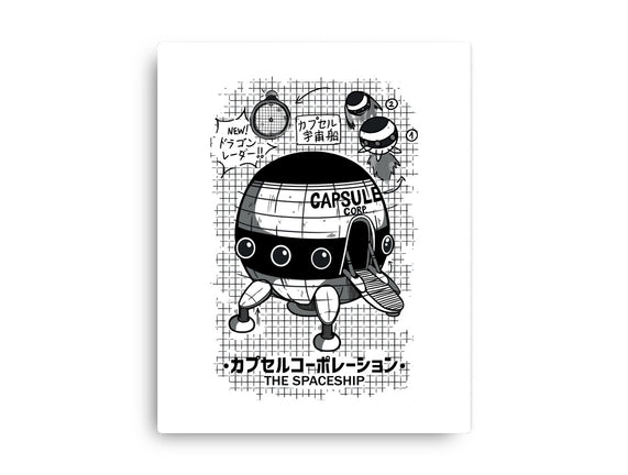 Capsule Spaceship