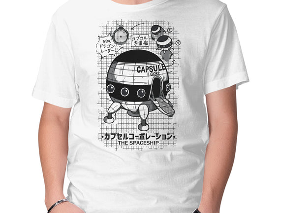 Capsule Spaceship