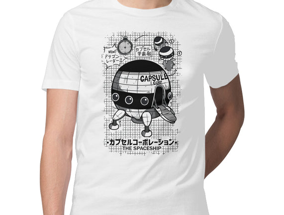 Capsule Spaceship