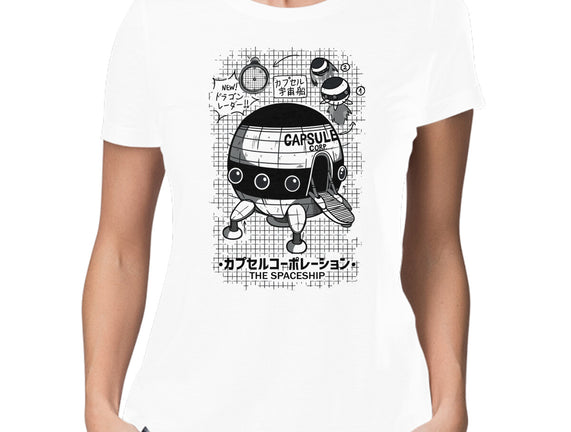 Capsule Spaceship
