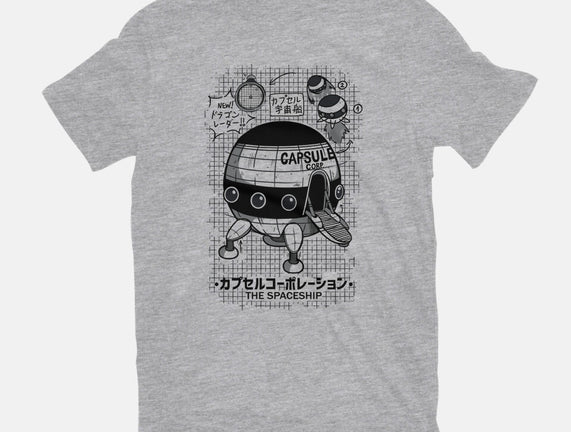 Capsule Spaceship