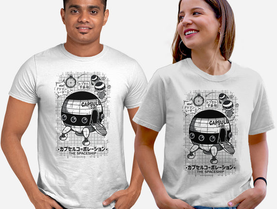Capsule Spaceship