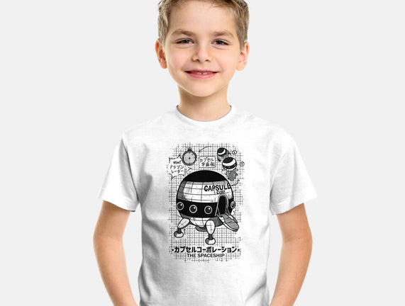Capsule Spaceship