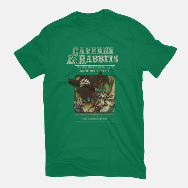 Caverns & Rabbits-mens heavyweight tee-Creative Outpouring