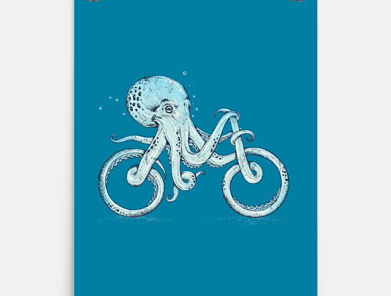 Cephalo-cycle