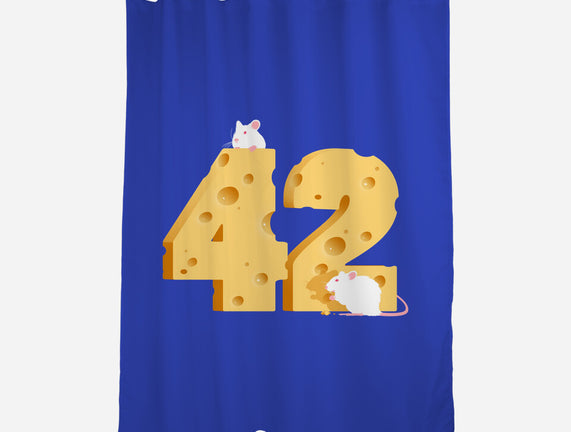 Cheese Is The Answer!