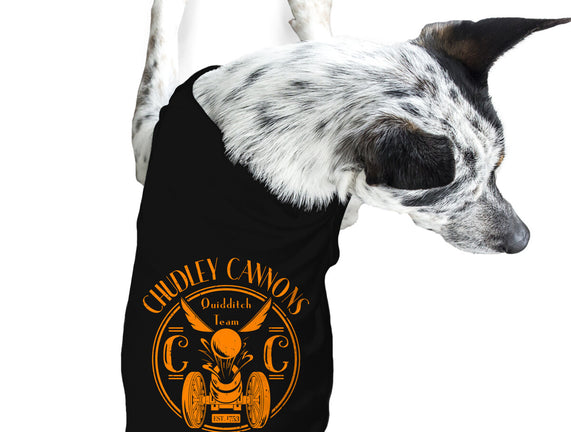 Chudley Cannons