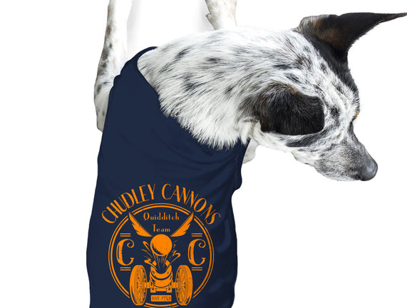 Chudley Cannons