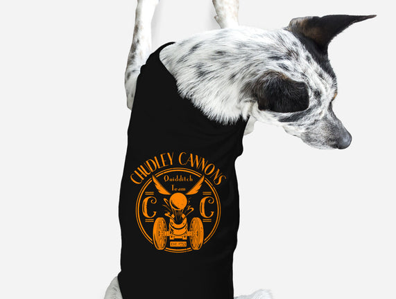 Chudley Cannons