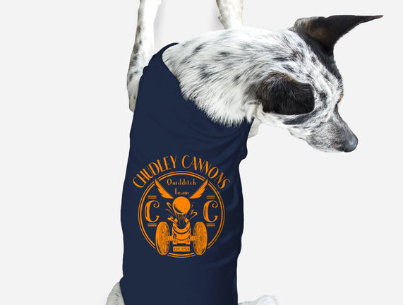 Chudley Cannons