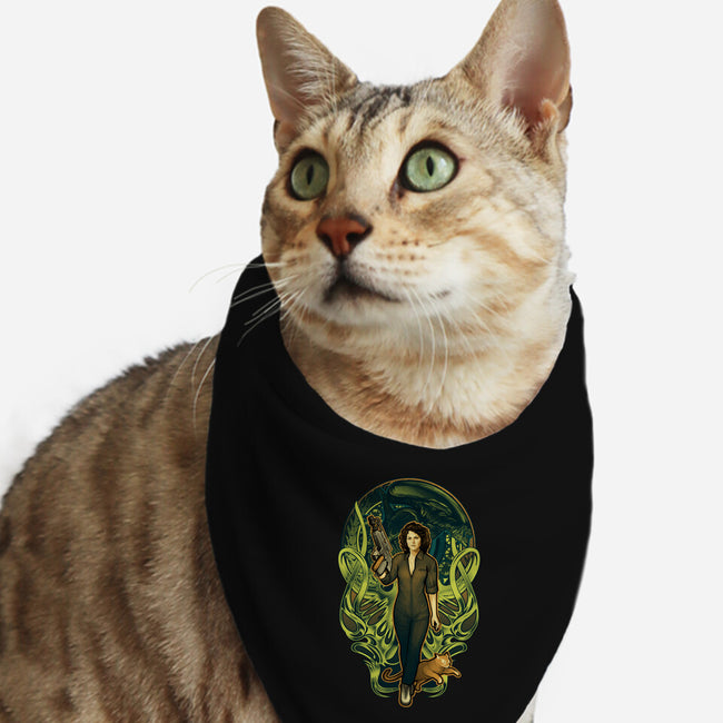 Come On, Cat-cat bandana pet collar-MeganLara